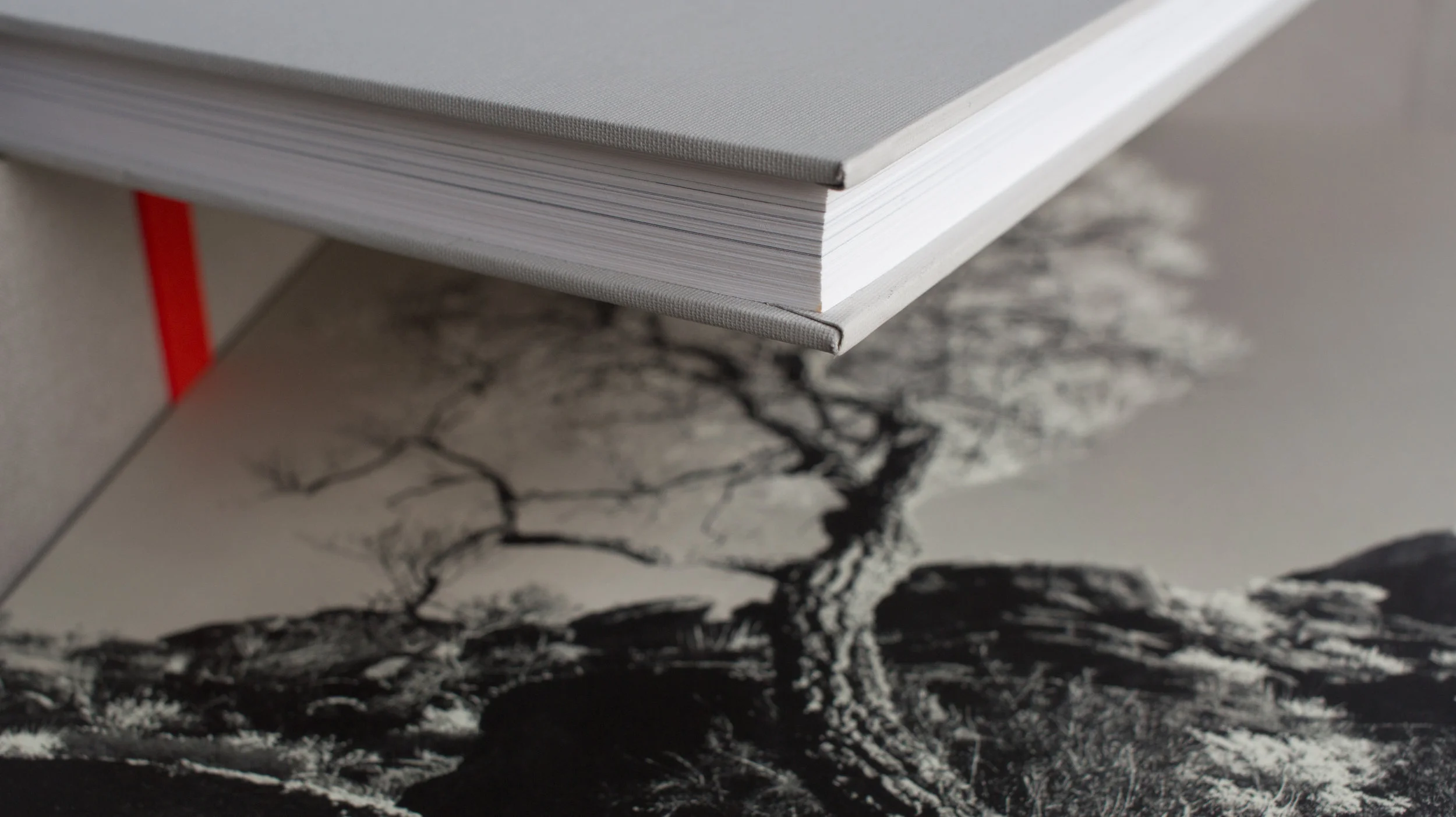Glenn Murcutt Folio